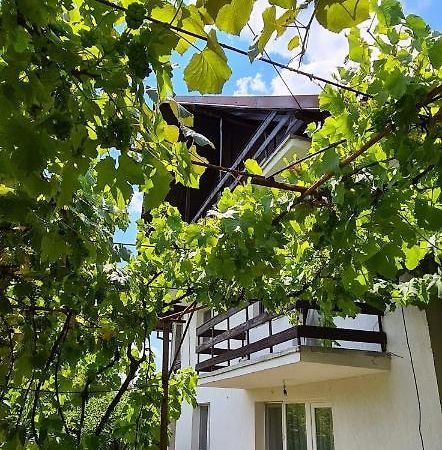 Apartamento Cazare Vila Maria Curtea de Argeş Exterior foto
