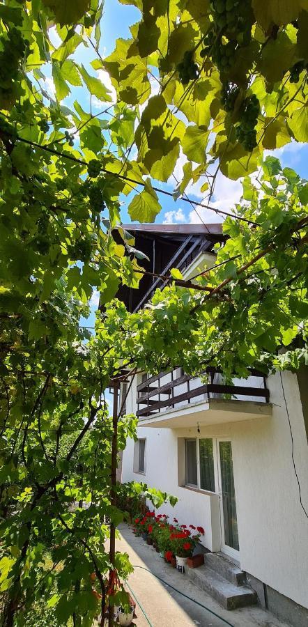 Apartamento Cazare Vila Maria Curtea de Argeş Exterior foto