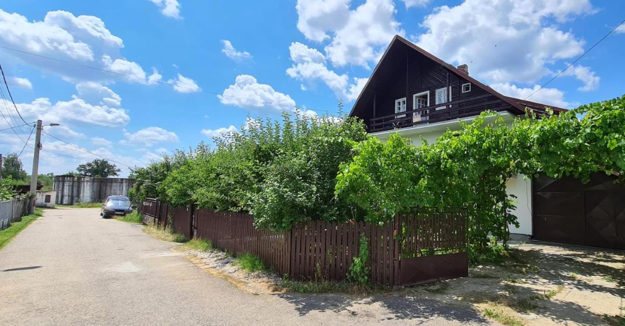 Apartamento Cazare Vila Maria Curtea de Argeş Exterior foto