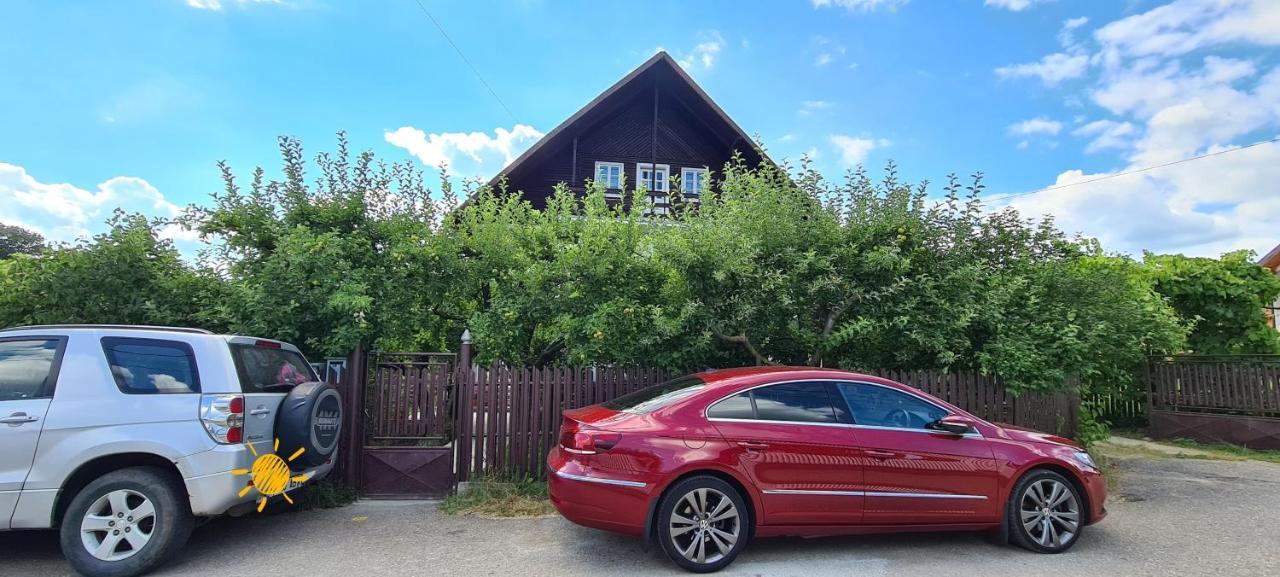 Apartamento Cazare Vila Maria Curtea de Argeş Exterior foto