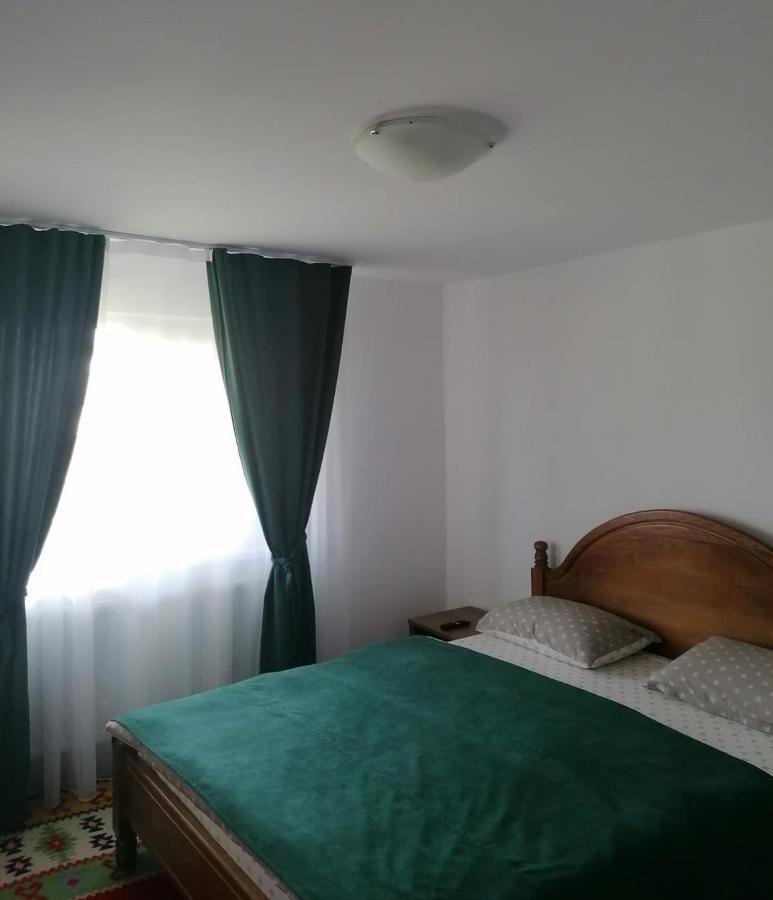 Apartamento Cazare Vila Maria Curtea de Argeş Exterior foto