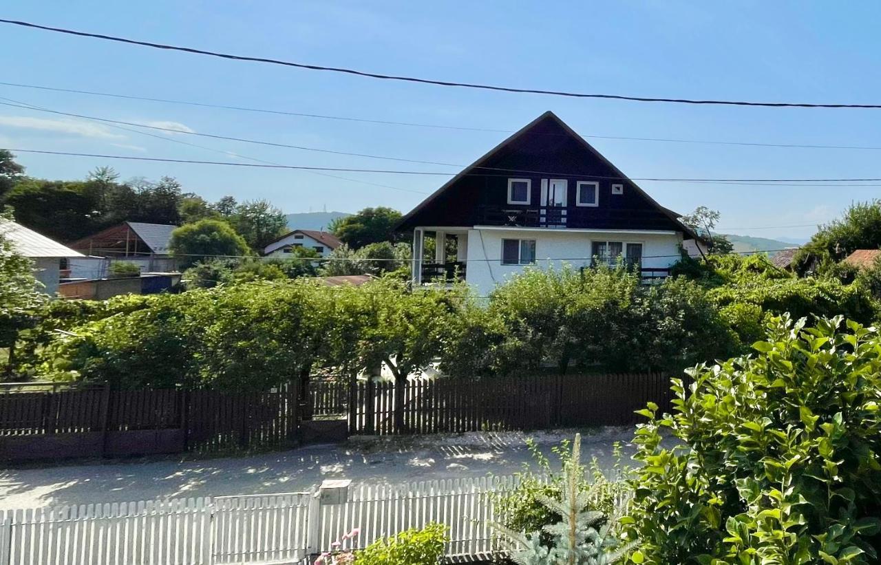 Apartamento Cazare Vila Maria Curtea de Argeş Exterior foto